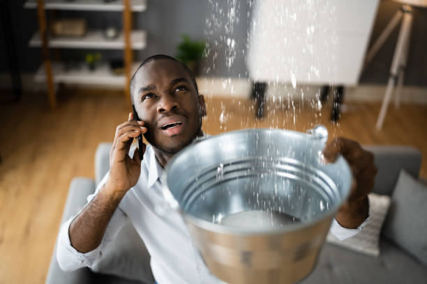 Best Sewage cleanup and water damage restoration  in White Marsh, MD