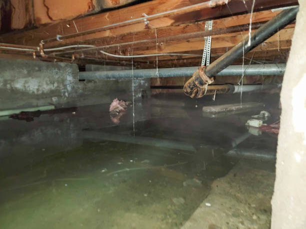 Best Fire Damage Restoration  in White Marsh, MD