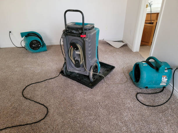Best Water damage contractors near me  in White Marsh, MD