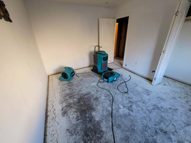 Best Water damage restoration near me  in White Marsh, MD