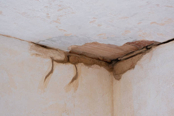 Best Water damage cleanup near me  in White Marsh, MD
