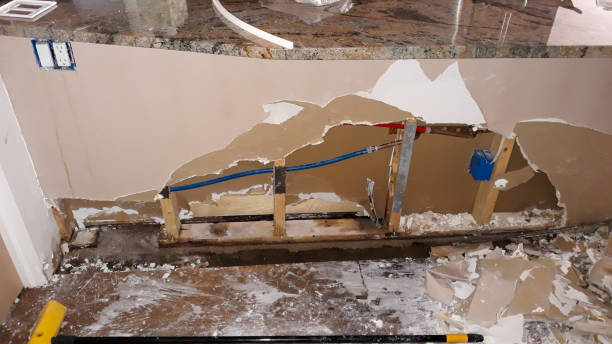 Best 24/7 water damage repair  in White Marsh, MD