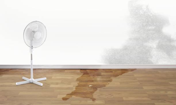 Best Emergency water damage restoration  in White Marsh, MD