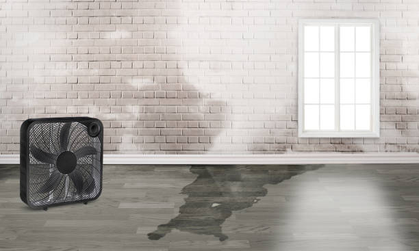 Best Flood restoration services  in White Marsh, MD