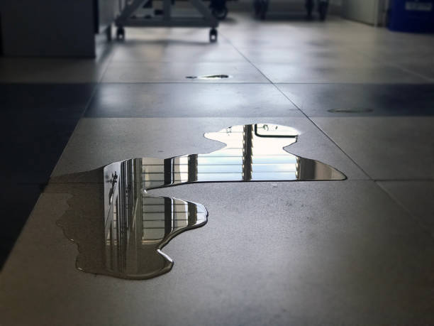 Best Water damage repair service  in White Marsh, MD