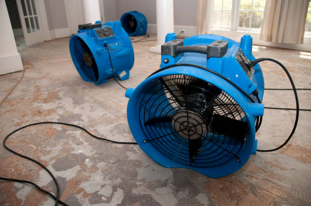 Best 24-hour water damage restoration  in White Marsh, MD