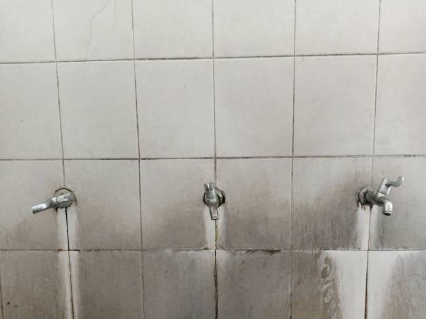 Best Ceiling water damage repair  in White Marsh, MD