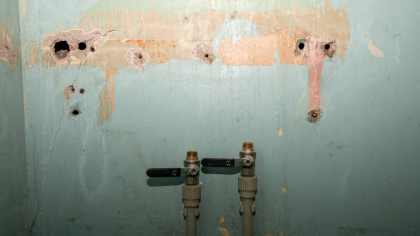 Water damage restoration mold remediation in White Marsh, MD
