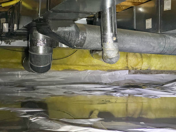 Best Professional water damage repair  in White Marsh, MD
