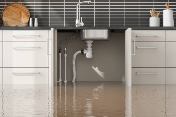 Best Emergency water damage restoration  in White Marsh, MD