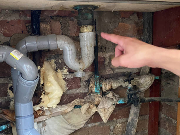 Best Professional water damage repair  in White Marsh, MD