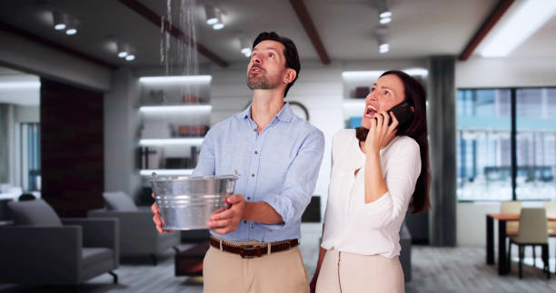 Best Mold removal after water damage  in White Marsh, MD